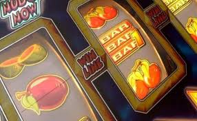 Онлайн казино Kaktuz Casino